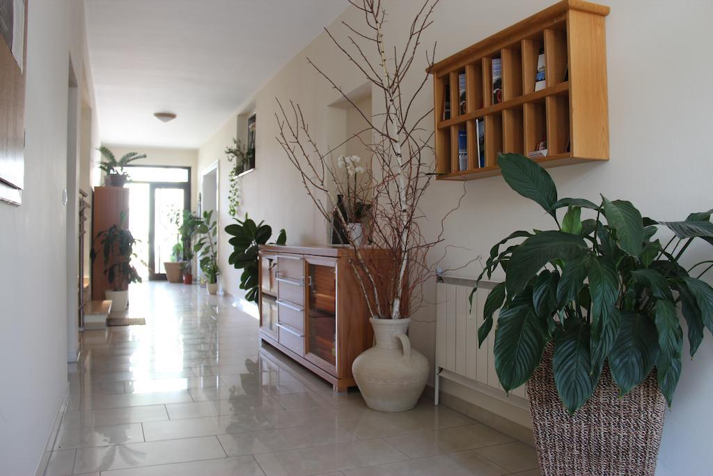 Haus Renee Bed & Breakfast Podersdorf am See Exterior photo